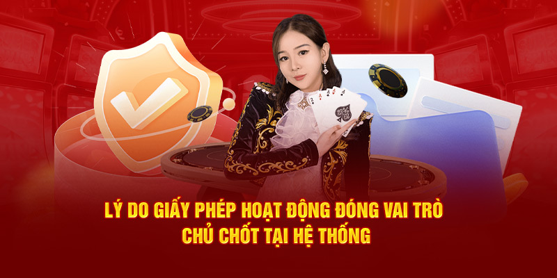 Lý do giấy phép hoạt động đóng vai trò chủ chốt tại hệ thống